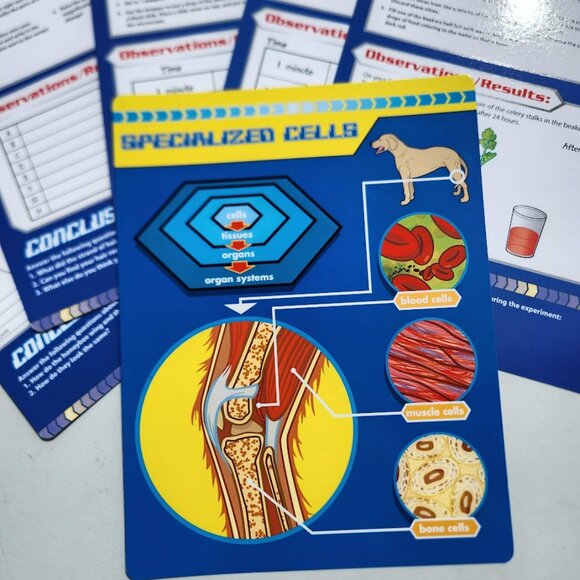 Lakeshore Cells and Organisms Activity Book Set Kit Plant Animal Model Biology M - Picture 13 of 16